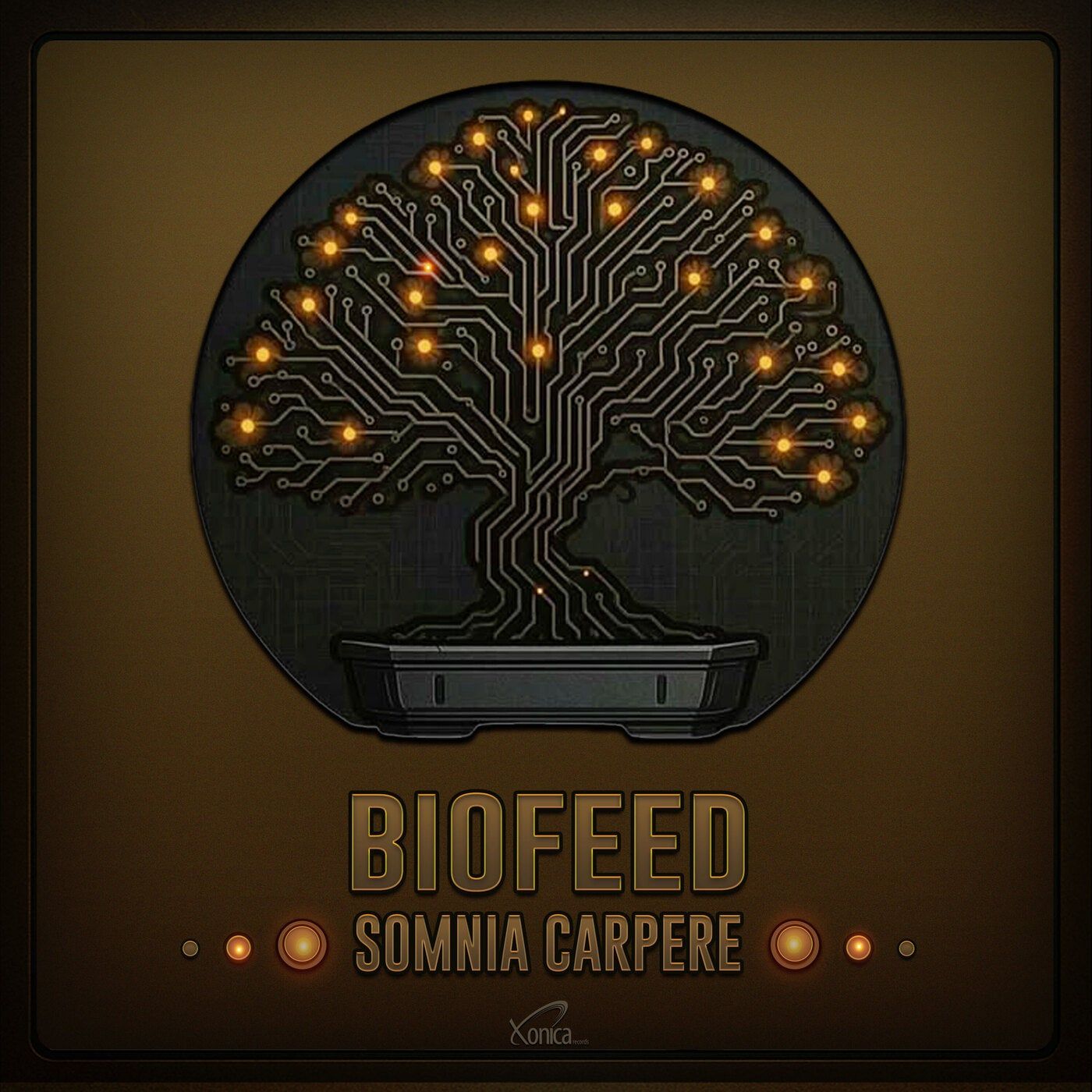 Somnia Carpere